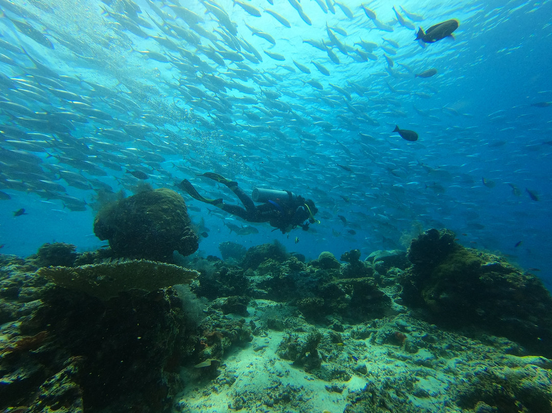Sipadan Mabul Lodge and Tours-仙本那必去景点