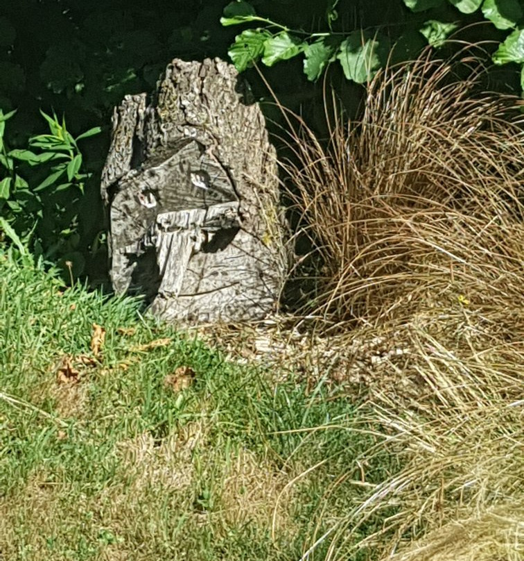 Les Jardins de la Belleuse景点图片