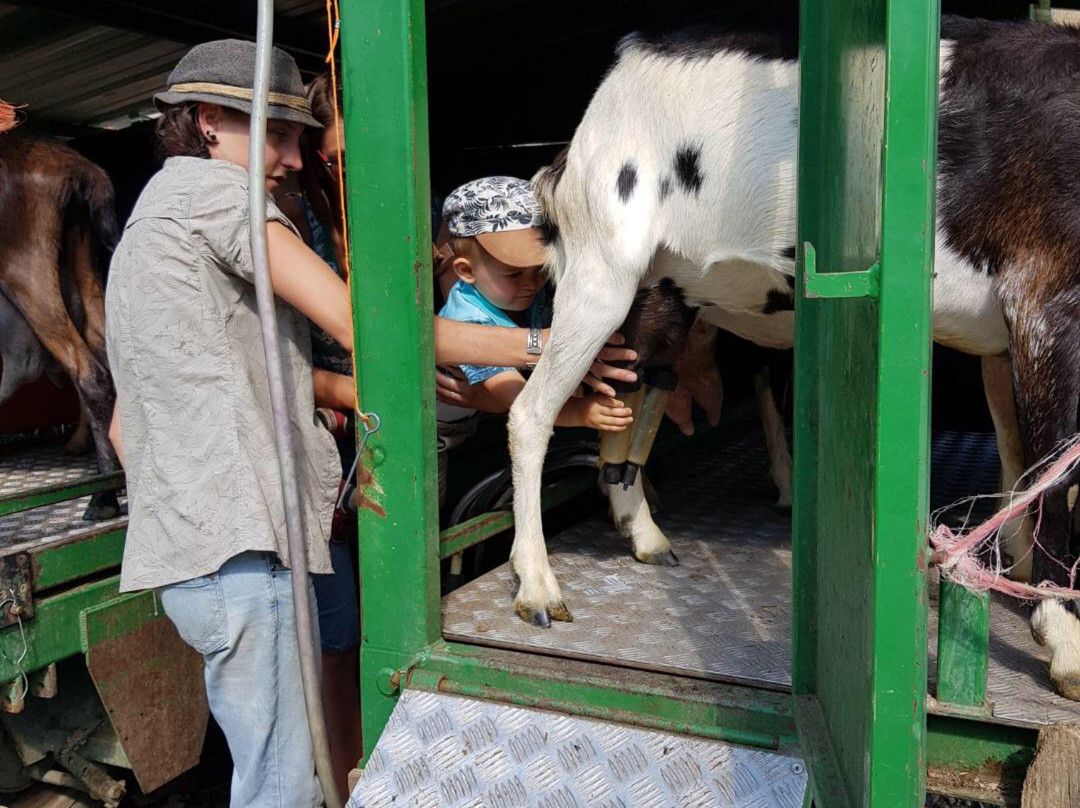Chèvrerie de Villarenger-圣马丁贝尔维尔必去景点