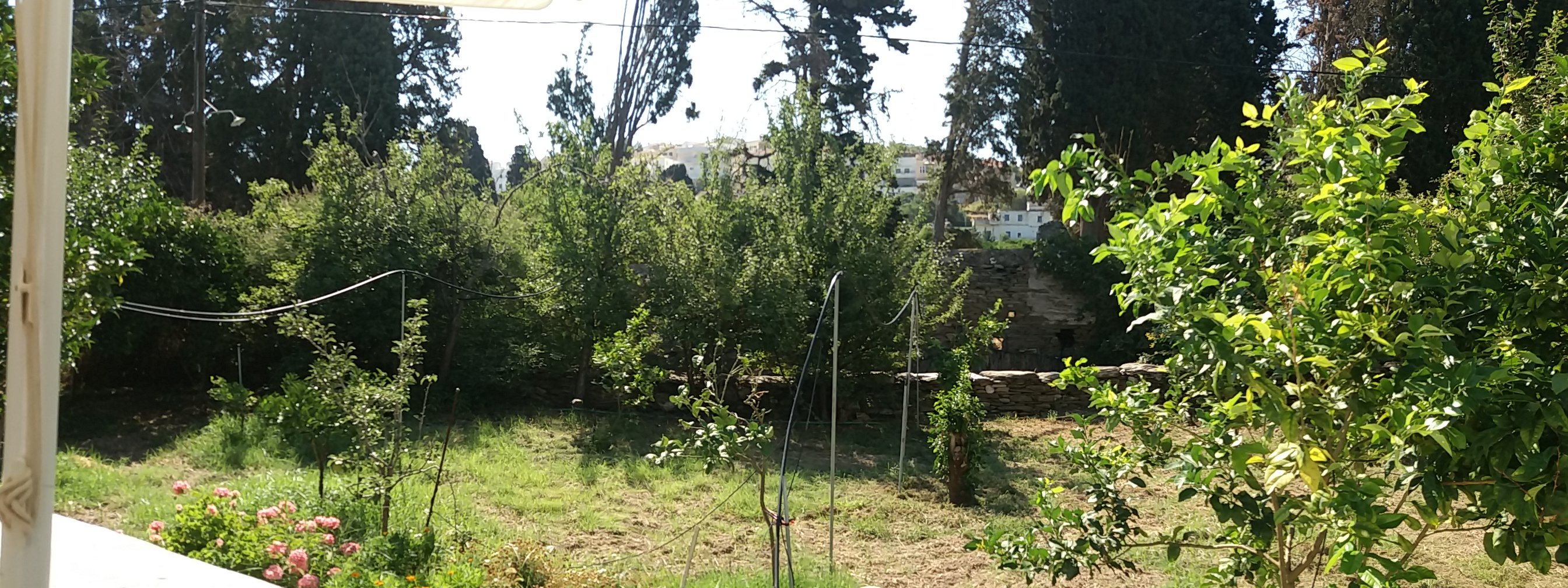 Saint Louis Suites-酒店景观