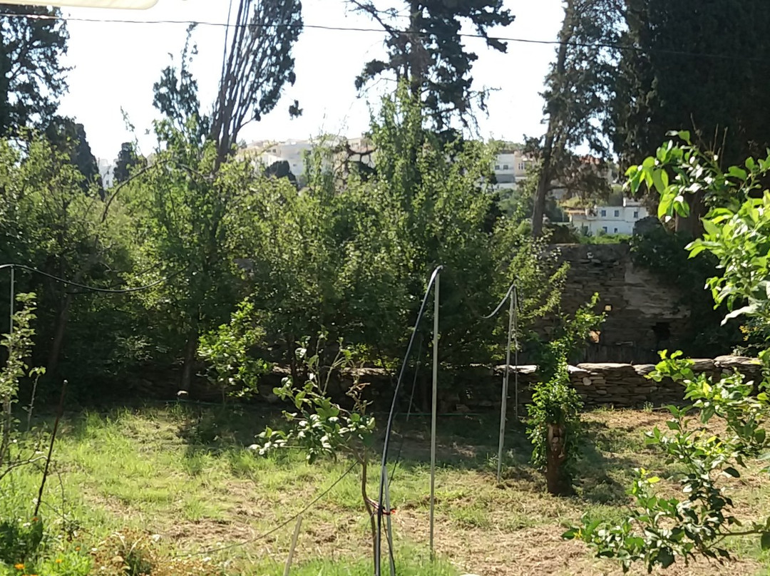 Saint Louis Suites主图