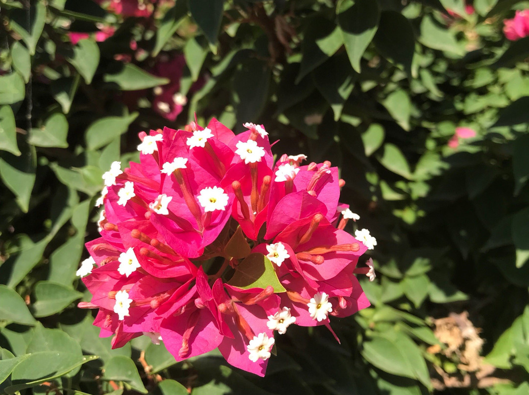 Hotel Angelika主图