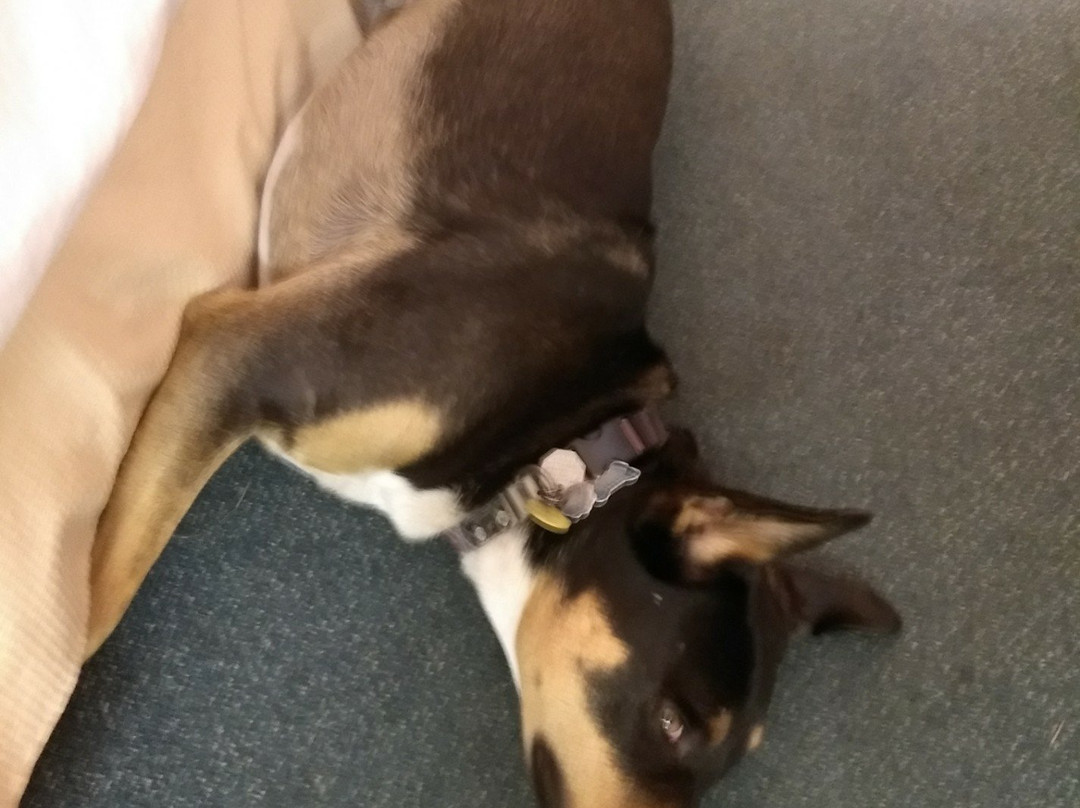 The Ranchland Inn主图