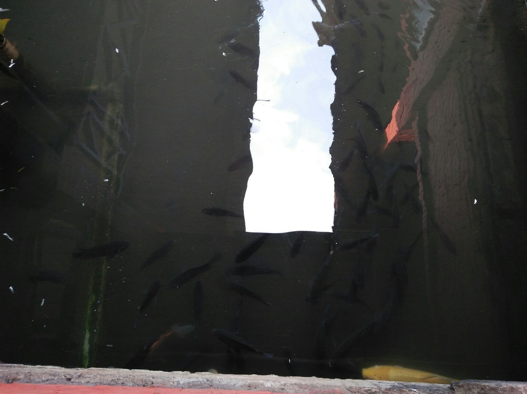 RM Pemancingan Agung