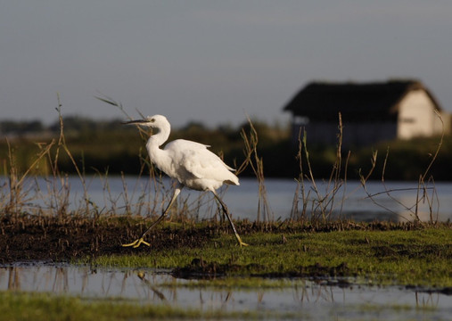 Maison du parc naturel regional des Marais du Cotentin et du Bessin-Saint-Come-du-Mont必去景点