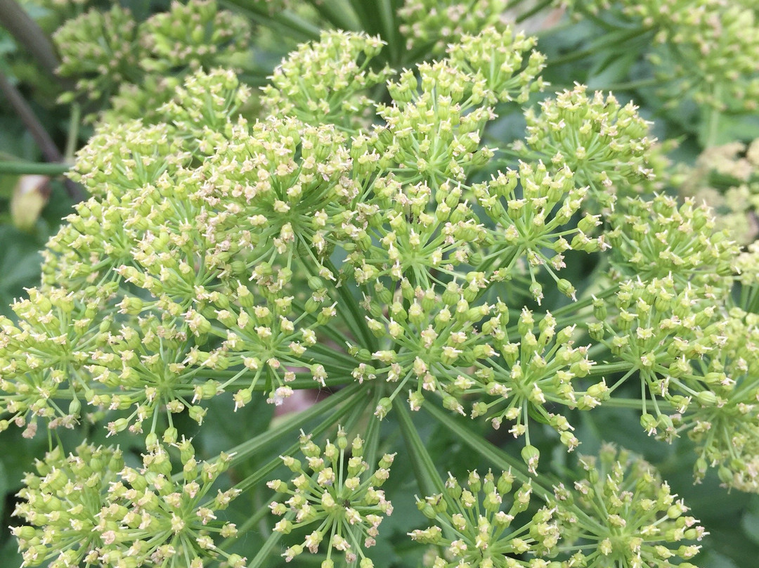 Atlavik-埃伊尔斯塔济必去景点