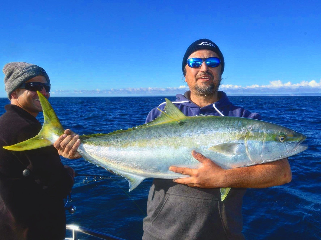 Keen as Fish-Marion Bay必去景点