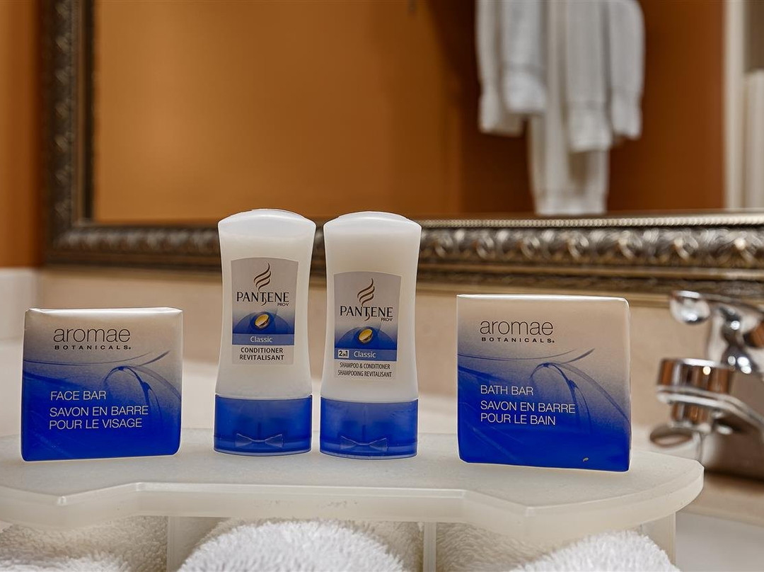 Best Western Plus Madison主图