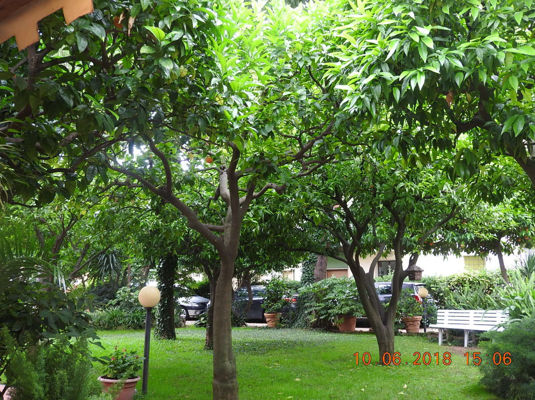 Orange Tree Villa Hotel主图