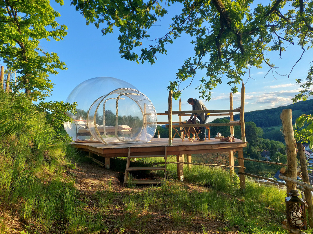 Terrassencamping Schlierbach
