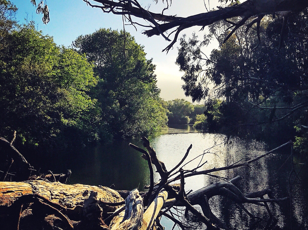 Pescadero Marsh Natural Preserve-佩斯卡德罗必去景点