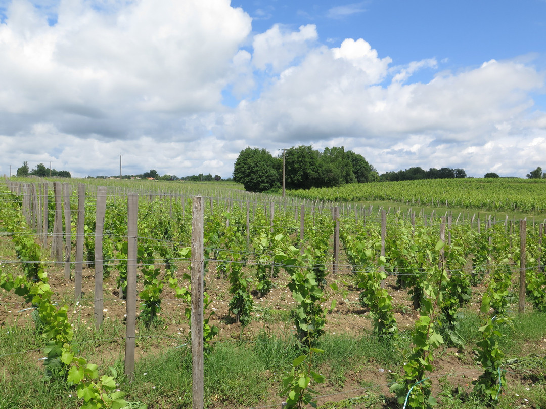 Les Domaines De Moncets景点图片