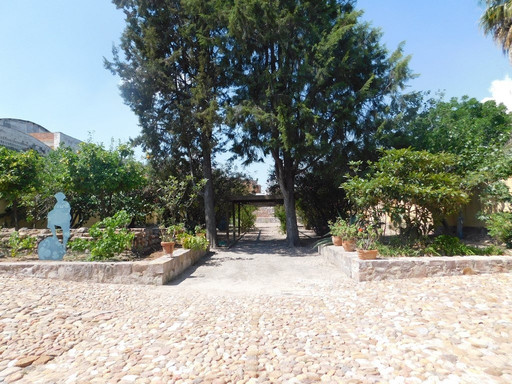 Casa Hidalgo. Museo Francia Chiquita-San Felipe必去景点