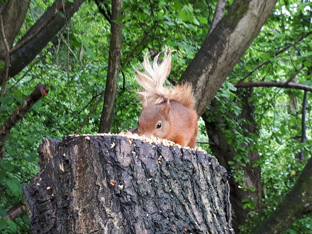桑当旅游景点-Alverstone Mead Nature Reserve