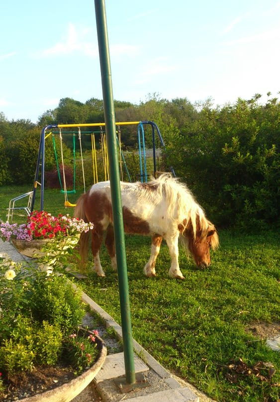 Agriturismo Cascina Scola主图