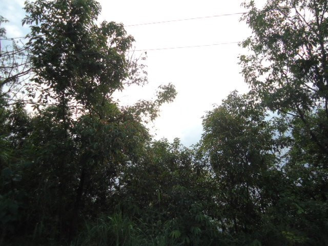 Cheirao Ching-因帕尔必去景点