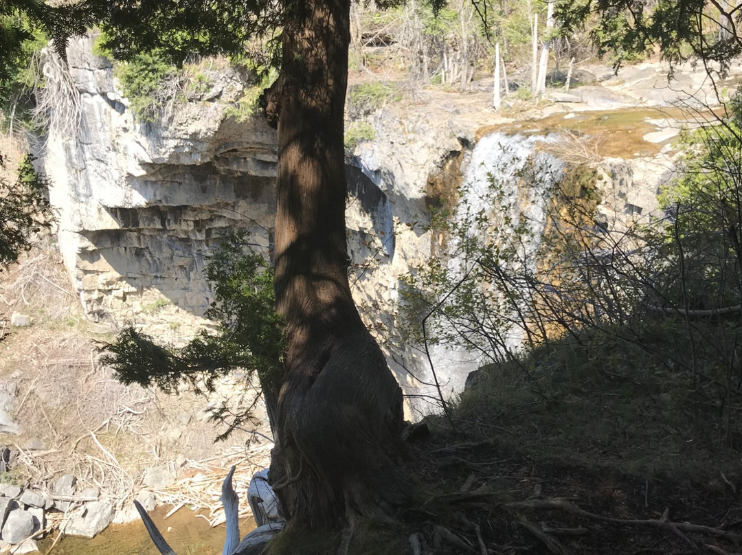 Eugenia Falls Conservation Area景点图片