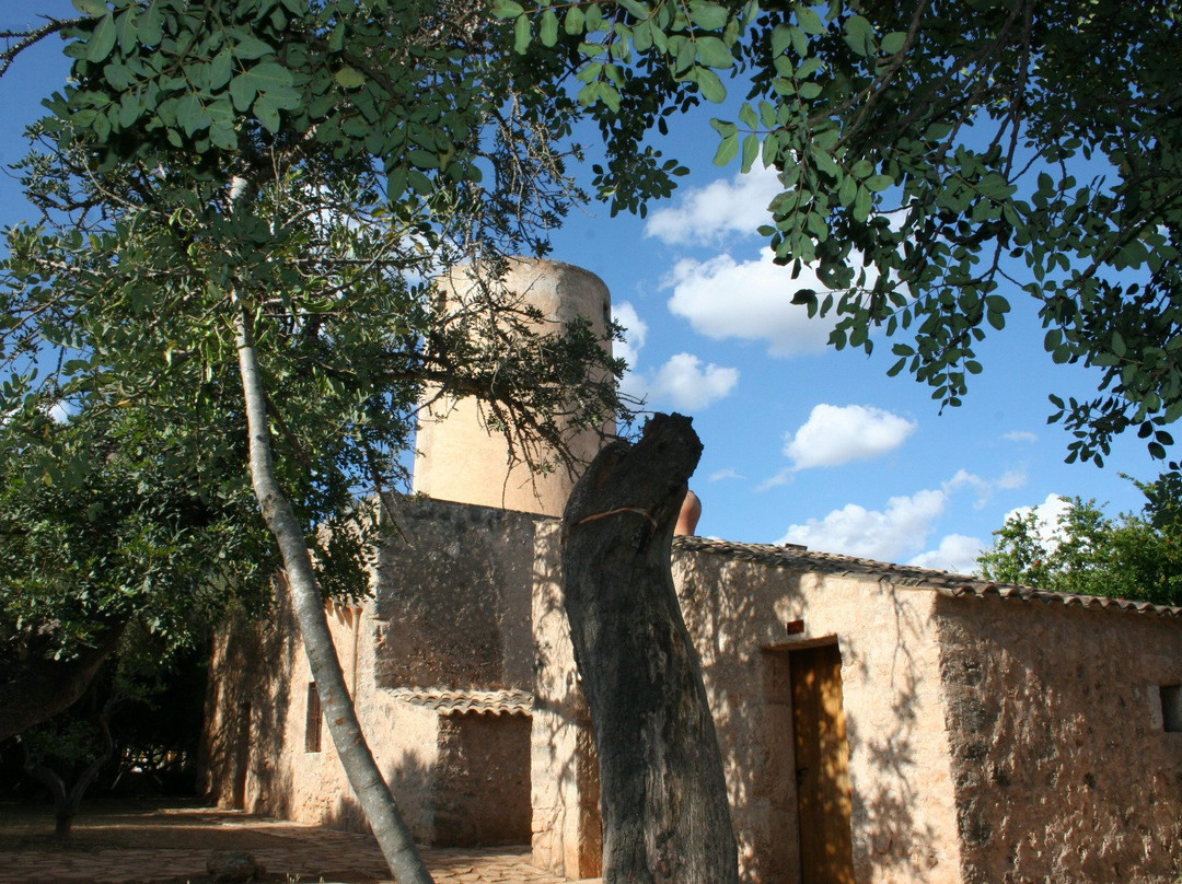 Museu del Fang de Marratxi景点图片