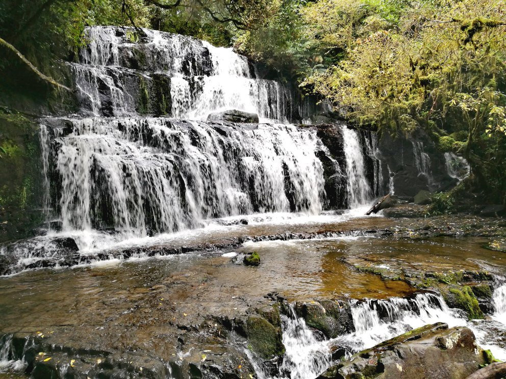 Purakaunui Falls Walk景点图片