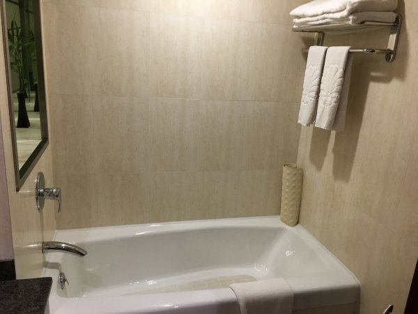 东莞汇华国际饭店（常平站店）-浴室