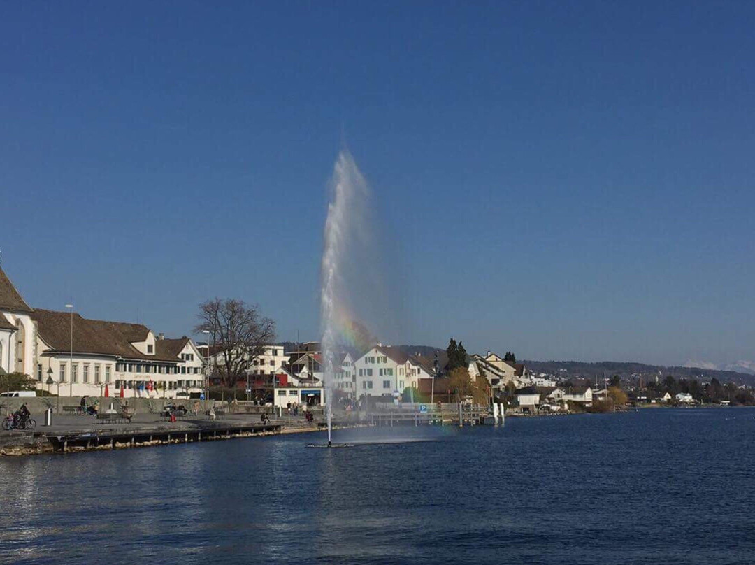 Fahre Horgen-Meilen景点图片