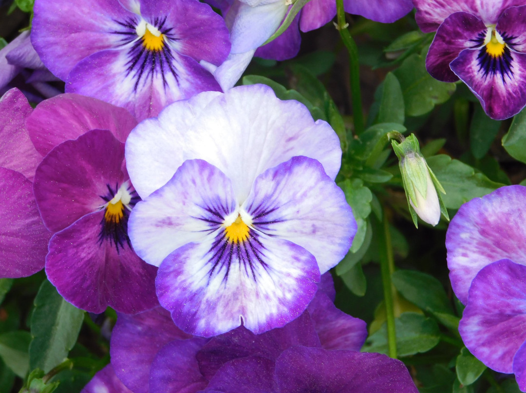 Hilton Atlanta/Marietta Hotel & Conference Center主图