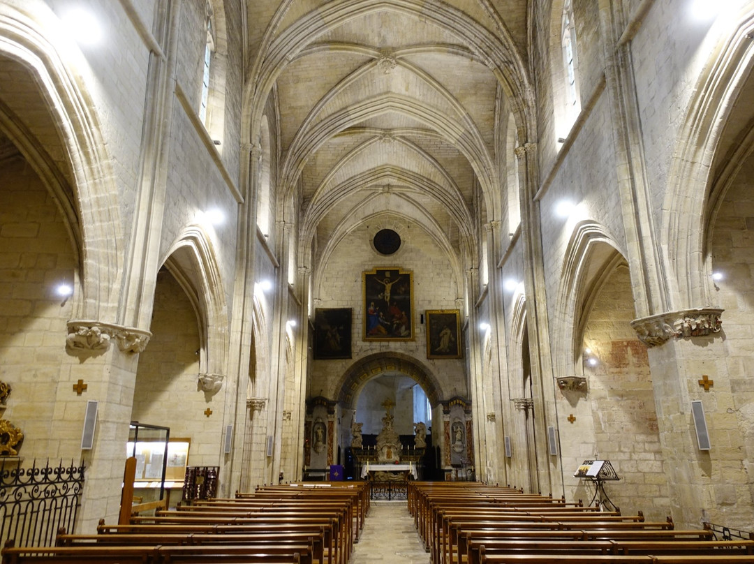 Collégiale Notre-Dame de Villeneuve-lès-Avignon景点图片