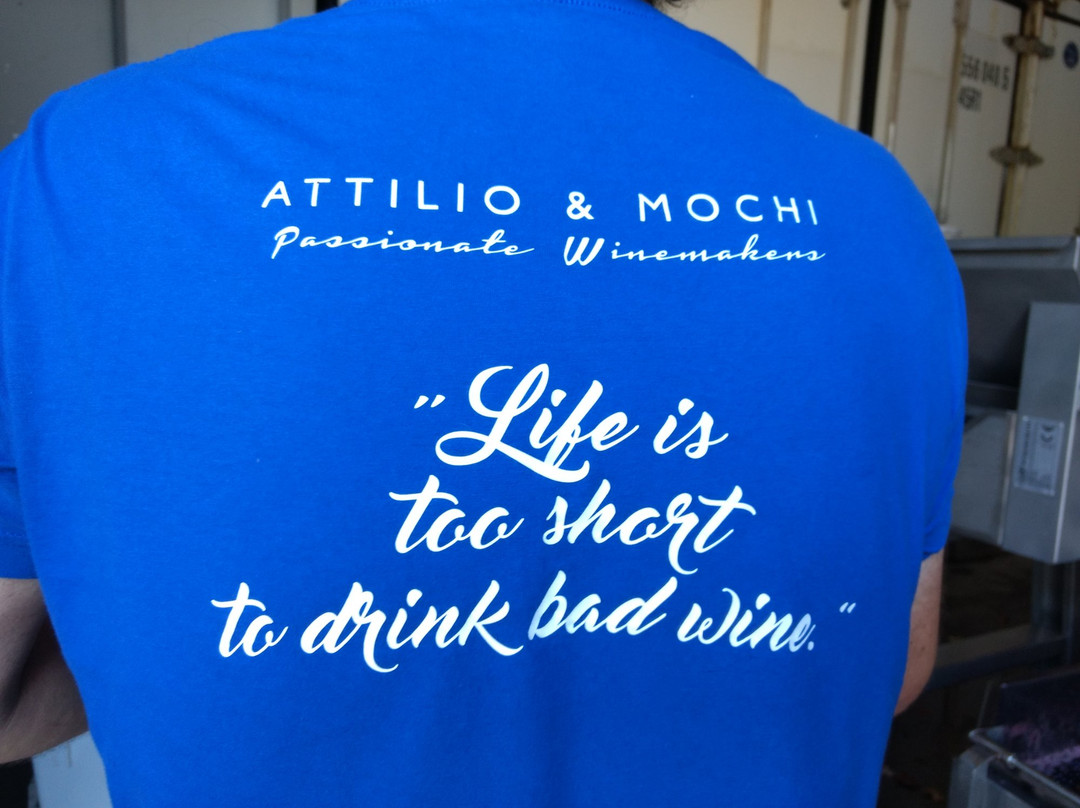 Attilio & Mochi - Passionate Winemakers景点图片