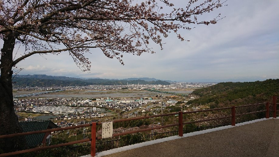 Makinohara Park景点图片