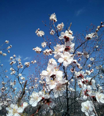 翁牛特旗红山湖-翁牛特旗必去景点