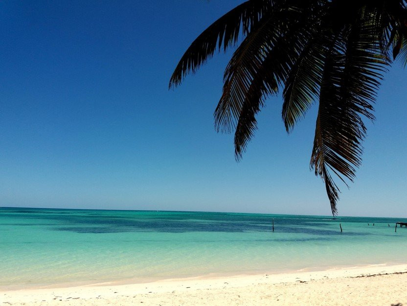 Loseana Private Tours-普拉亚德尔卡曼必去景点