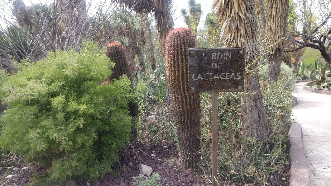 Parque Ecologico El Chapulin-萨尔蒂必去景点