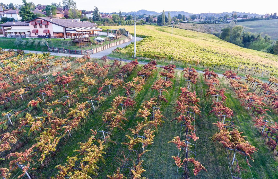 La Cantina dei Sapori
