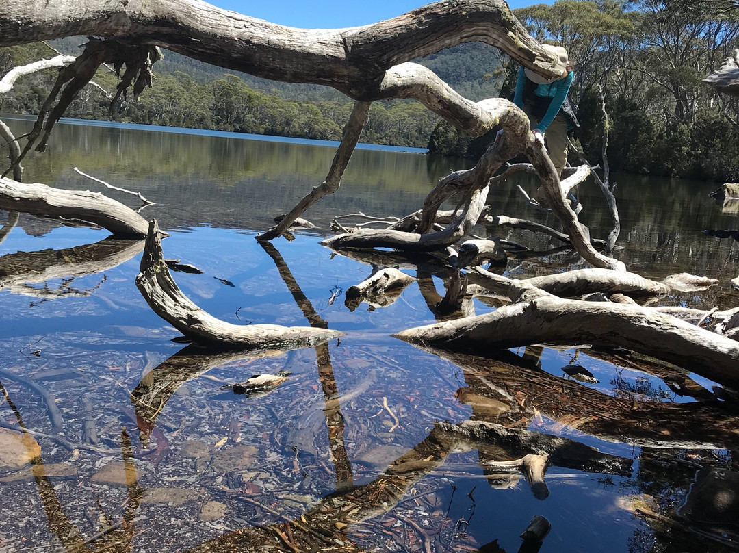 Shadow Lake Circuit Walk景点图片