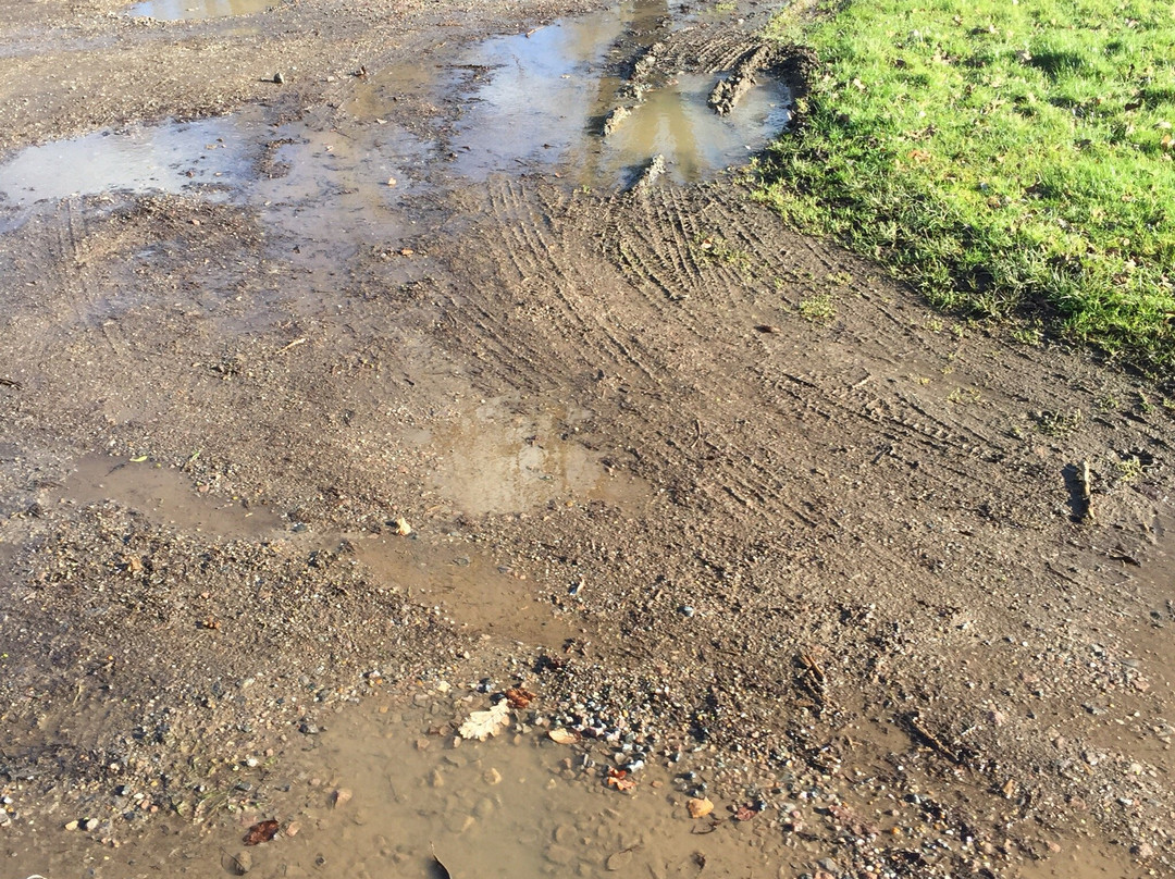 Camping and Caravanning Club Hertford