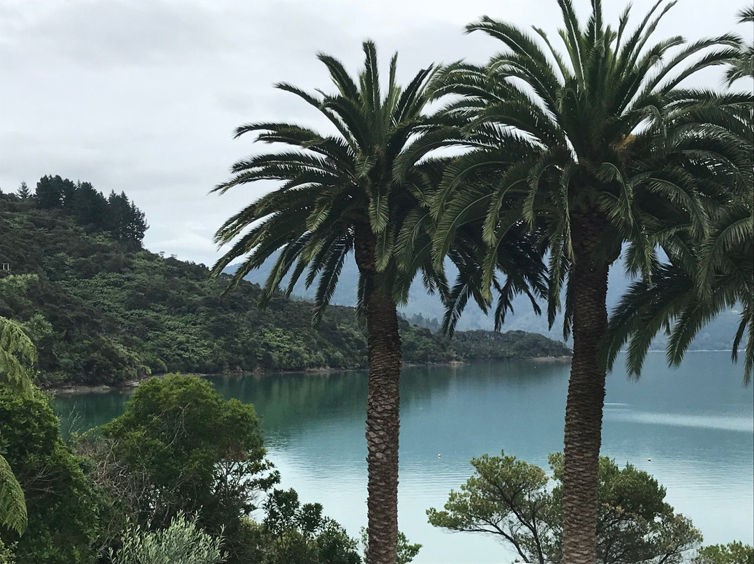 Te Mahia Bay Resort主图