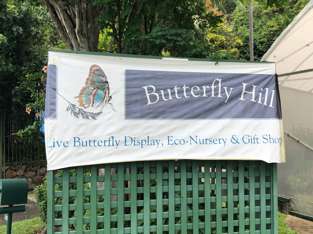 Butterfly Hill景点图片