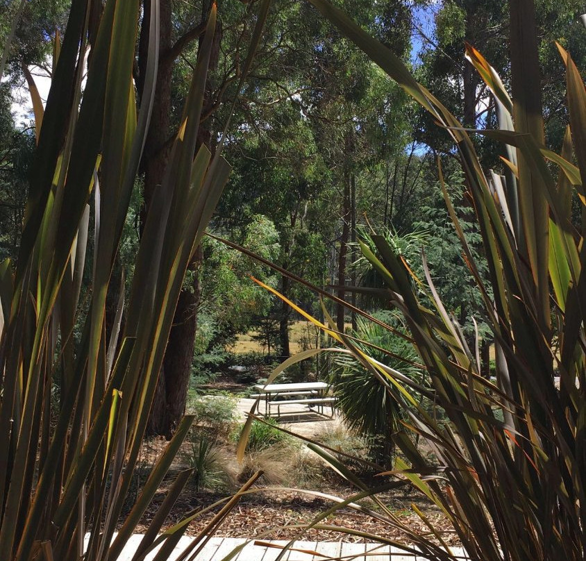 牡蛎湾木屋主图