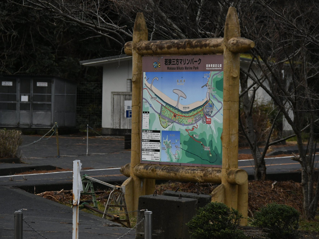Fukui Prefectural Seashore Nature Center景点图片
