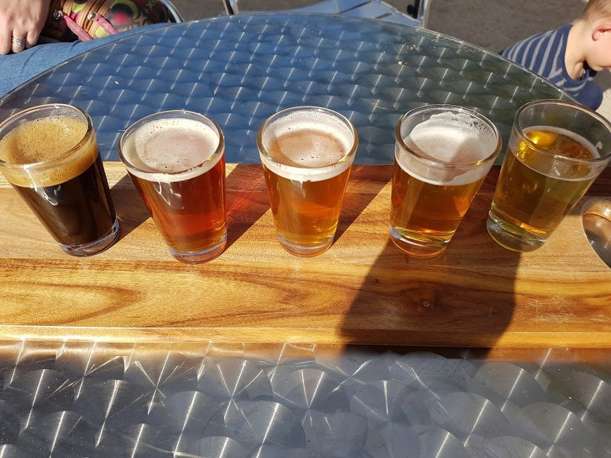 Black Dog Brewery-Taminick必去景点