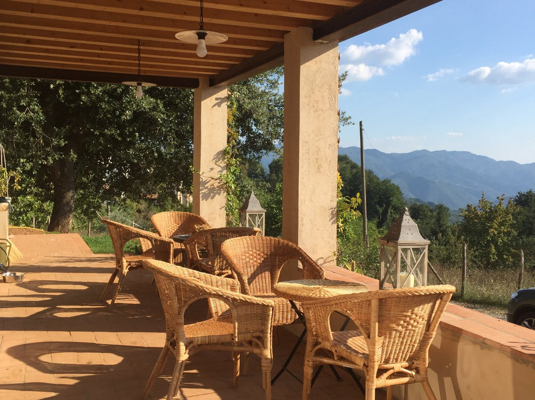 Alle Vignole B&B主图