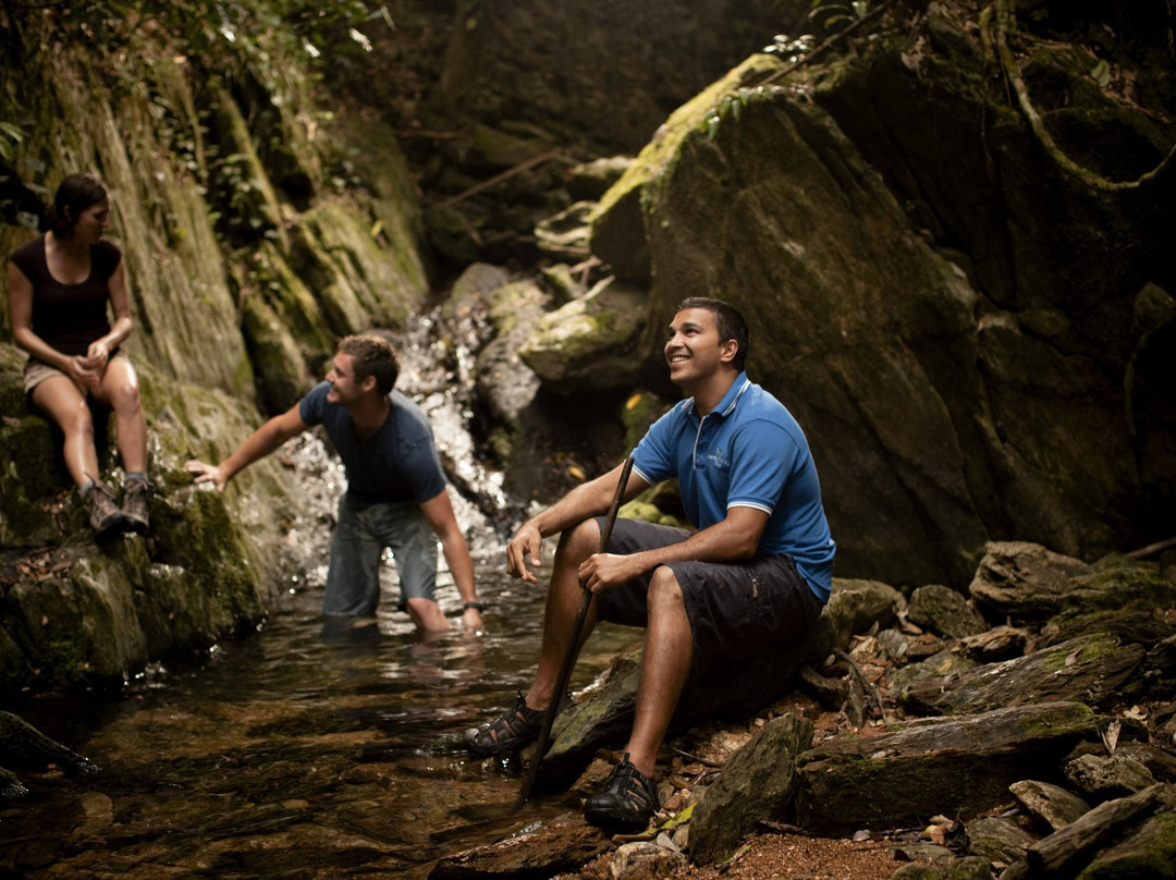 Walkabout Cultural Adventures-Daintree必去景点