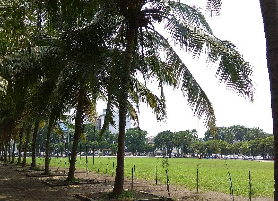 Jember City Square景点图片