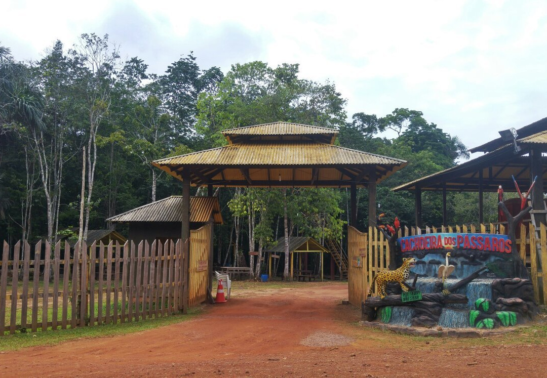 Cachoeira dos Passaros景点图片