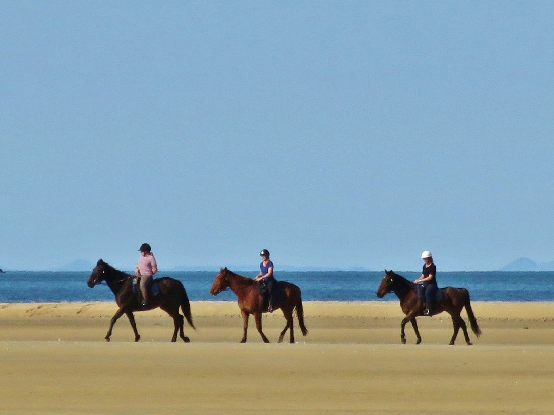 Abel Tasman Horse Trekking-玛拉豪必去景点