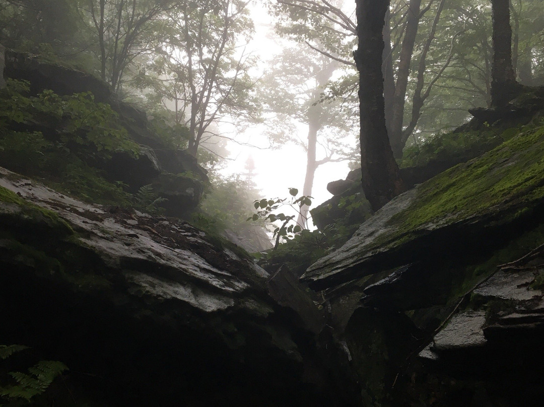 Indian Head Mountain-Elka Park必去景点