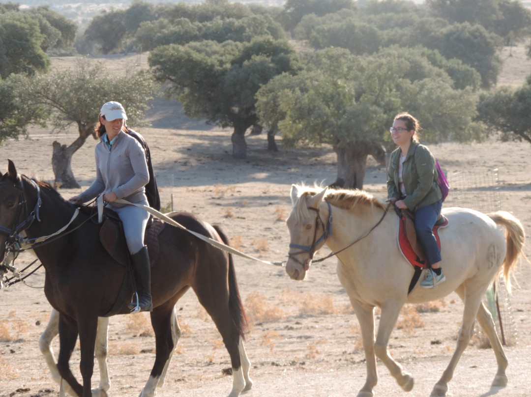 Activities Barbancho - Horseback Riding景点图片