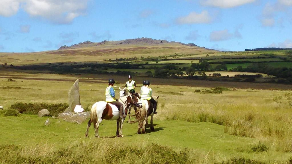 Preseli Pony Trekking-Mynachlogddu必去景点