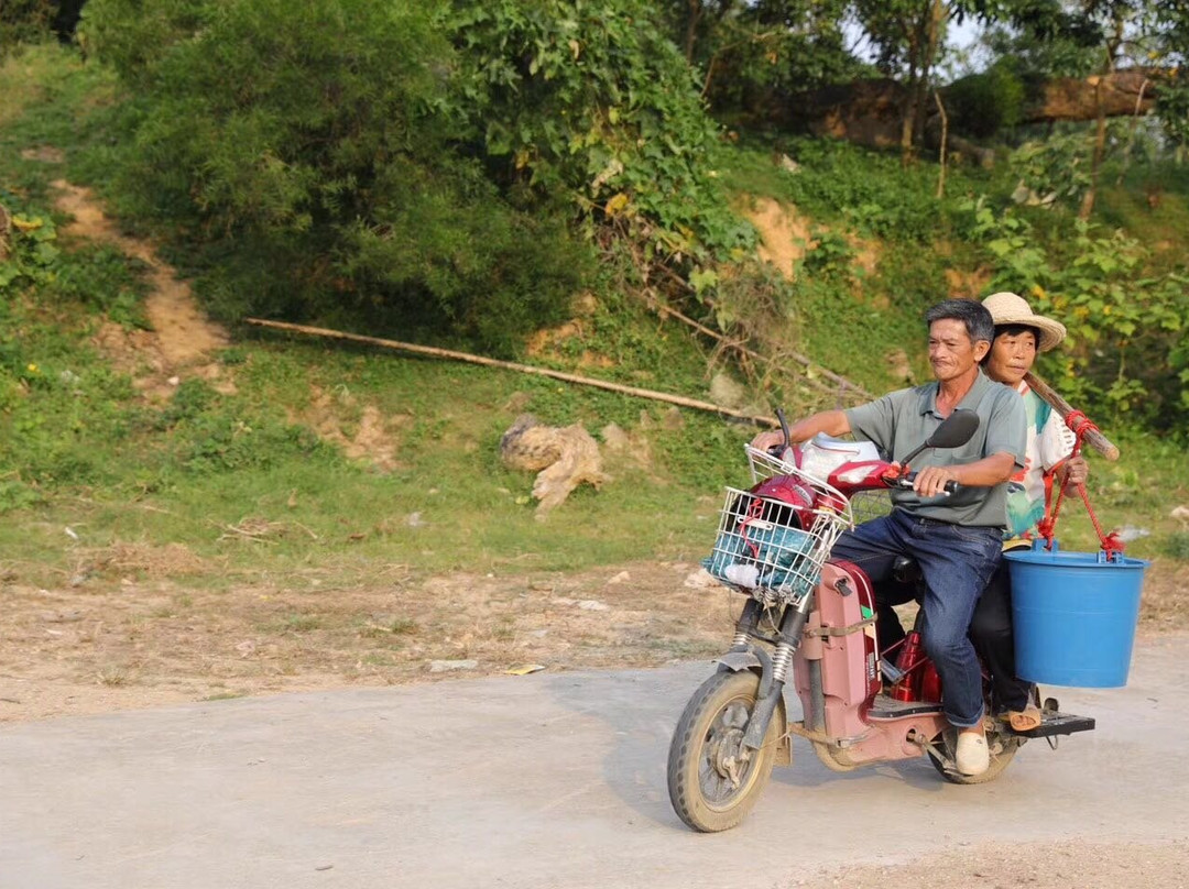 古榕报石-惠来县必去景点