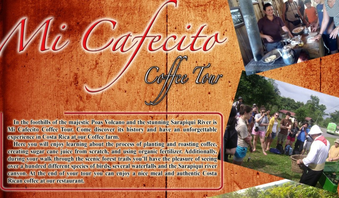 Mi Cafecito Coffee Tour景点图片